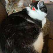 ヒメ日記 2025/11/11 16:06 投稿 みるく Lolipop（ロリポップ）