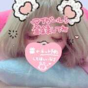 ヒメ日記 2025/12/06 13:16 投稿 みるく Lolipop（ロリポップ）