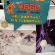 ヒメ日記 2025/12/10 13:36 投稿 みるく Lolipop（ロリポップ）