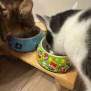 ヒメ日記 2025/12/30 22:56 投稿 みるく Lolipop（ロリポップ）