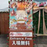 ヒメ日記 2026/02/11 23:56 投稿 みるく Lolipop（ロリポップ）