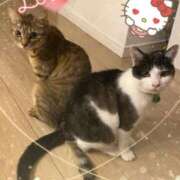 ヒメ日記 2026/02/23 00:00 投稿 みるく Lolipop（ロリポップ）