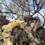 ヒメ日記 2026/02/24 20:36 投稿 みるく Lolipop（ロリポップ）