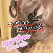 ヒメ日記 2026/02/26 08:36 投稿 みるく Lolipop（ロリポップ）