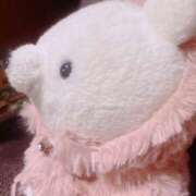 ヒメ日記 2026/03/02 15:06 投稿 みるく Lolipop（ロリポップ）