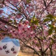 ヒメ日記 2026/03/04 22:36 投稿 みるく Lolipop（ロリポップ）