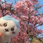 ヒメ日記 2026/04/01 02:36 投稿 みるく Lolipop（ロリポップ）