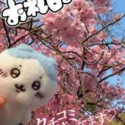 ヒメ日記 2026/04/06 07:16 投稿 みるく Lolipop（ロリポップ）