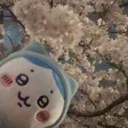 ヒメ日記 2026/04/06 23:46 投稿 みるく Lolipop（ロリポップ）