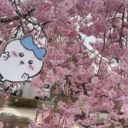 ヒメ日記 2026/04/09 21:06 投稿 みるく Lolipop（ロリポップ）