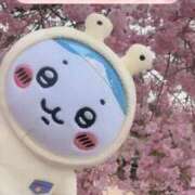 ヒメ日記 2026/04/10 19:16 投稿 みるく Lolipop（ロリポップ）