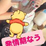ヒメ日記 2026/09/10 08:26 投稿 みるく Lolipop（ロリポップ）