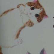 ヒメ日記 2025/03/08 21:48 投稿 沢尻(さわじり) 八王子人妻城