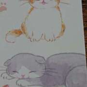 ヒメ日記 2025/03/20 19:03 投稿 沢尻(さわじり) 八王子人妻城