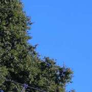 ヒメ日記 2025/08/15 09:33 投稿 沢尻(さわじり) 八王子人妻城