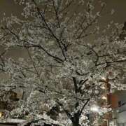 ヒメ日記 2025/04/18 14:33 投稿 あきな 濃厚即19妻