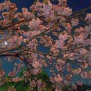 ヒメ日記 2025/04/05 04:04 投稿 まゆ 濃厚即19妻