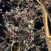 ヒメ日記 2026/04/03 15:14 投稿 かおり 濃厚即19妻