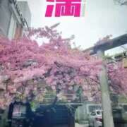 ヒメ日記 2025/03/16 01:04 投稿 まゆか 濃厚即19妻