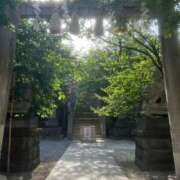 ヒメ日記 2025/04/29 15:54 投稿 まゆか 濃厚即19妻