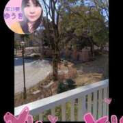 ヒメ日記 2025/03/12 21:44 投稿 ゆうき 濃厚即19妻