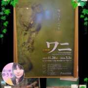 ヒメ日記 2025/12/08 08:15 投稿 ゆうき 濃厚即19妻