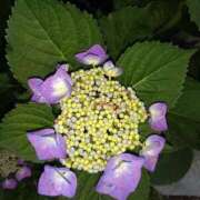 ヒメ日記 2025/06/16 02:10 投稿 まりこスリー Three＆Men’s Spa 甲府