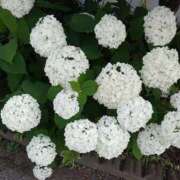 ヒメ日記 2025/06/26 02:06 投稿 まりこスリー Three＆Men’s Spa 甲府