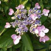 ヒメ日記 2025/06/29 02:11 投稿 まりこスリー Three＆Men’s Spa 甲府