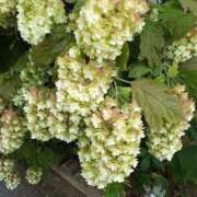 ヒメ日記 2025/07/13 02:06 投稿 まりこスリー Three＆Men’s Spa 甲府