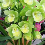 ヒメ日記 2025/11/24 20:31 投稿 まりこスリー Three＆Men’s Spa 甲府