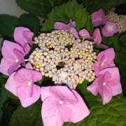ヒメ日記 2026/07/13 21:08 投稿 まりこスリー Three＆Men’s Spa 甲府