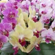 ヒメ日記 2026/10/09 22:18 投稿 まりこスリー Three＆Men’s Spa 甲府