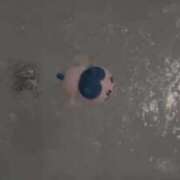 ヒメ日記 2025/04/09 19:52 投稿 もも マリン千葉店