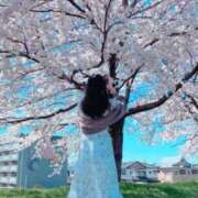 ヒメ日記 2026/02/22 13:00 投稿 まあや【超濃厚エッチな舌づかい】 STELLA NEXT－ステラネクスト－