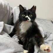 ヒメ日記 2026/03/29 01:54 投稿 まあや【超濃厚エッチな舌づかい】 STELLA NEXT－ステラネクスト－