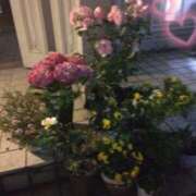 ヒメ日記 2025/06/16 01:26 投稿 ゆいな 熟女家 京橋店