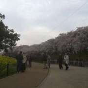 ヒメ日記 2026/04/17 17:36 投稿 ゆな 諭吉専科