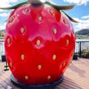 ヒメ日記 2025/12/15 10:15 投稿 小倉　ゆうか エテルナ彦根