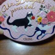 ヒメ日記 2026/02/12 10:31 投稿 吾妻【あづま】 丸妻 西船橋店