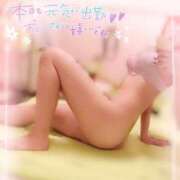 ヒメ日記 2025/03/14 11:14 投稿 茜/Akane レジーナ