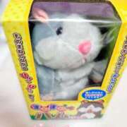 ヒメ日記 2025/03/17 09:34 投稿 茜/Akane レジーナ