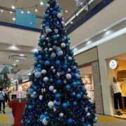 ヒメ日記 2024/12/13 10:06 投稿 りつか 萌えコス