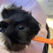 ヒメ日記 2024/12/13 11:18 投稿 りつか 萌えコス