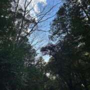 ヒメ日記 2025/02/03 10:55 投稿 りつか 萌えコス