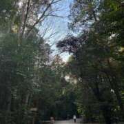 ヒメ日記 2025/02/05 11:05 投稿 りつか 萌えコス