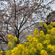 ヒメ日記 2025/03/17 10:14 投稿 りつか 萌えコス