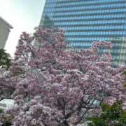 ヒメ日記 2025/04/04 10:05 投稿 りつか 萌えコス