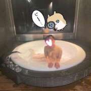 ヒメ日記 2025/01/26 19:21 投稿 るびぃ 秋葉原コスプレ学園(AKG)