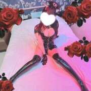 ヒメ日記 2025/03/11 19:02 投稿 るびぃ 秋葉原コスプレ学園(AKG)